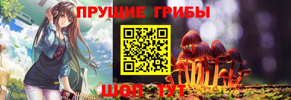 Сургут  Псилоцибиновые грибы ЛСД  Вход с VPN 